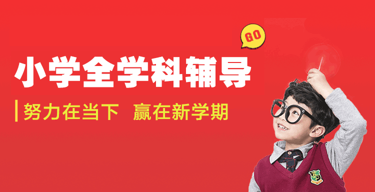 望子成龙小学辅导，0元试听课